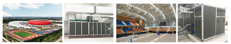 High Capacity Indoor Pool Dehumidifier